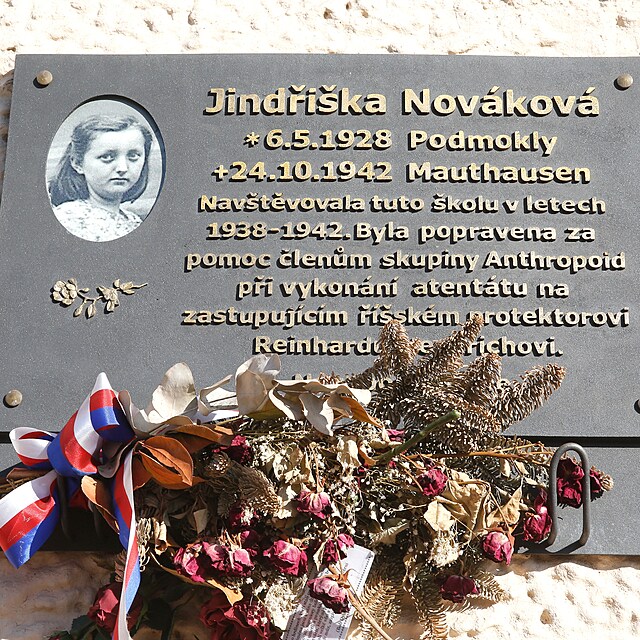 Pomnk Jindiky Novkov