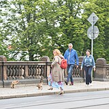 Hereka vyvenila pejsky na Steleckm ostrov.