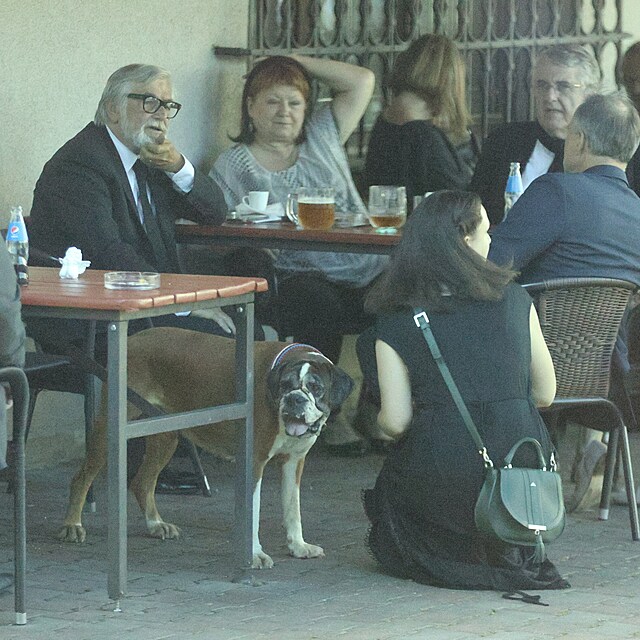 Havlov s sebou vzala i svou fenku Grace.