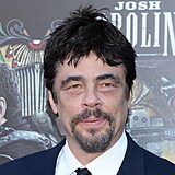 Benicio del Toro okouzl svm armem i echy