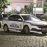 Mstsk policie je na kadm rohu.