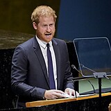 Princ Harry řečnil v OSN.