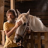 Ve snímku Buko, který napsala a režírovala Alice Nellis, hraje hlavní roli kůň.