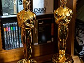 Americká filmová akademie Morriconemu udlila estného Oscara za celoivotní...