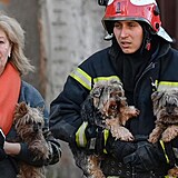 Hasi pomh en a jejm psm evakuovat kancelskou budovu v centru Kyjeva...