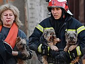 Hasi pomáhá en a jejím psm evakuovat kanceláskou budovu v centru Kyjeva...