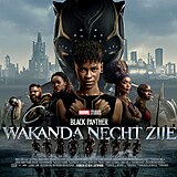 Black Panther: Wakanda nech ije