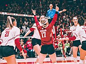 Volejbalový tým Badgers