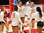 Volejbalový tým Badgers