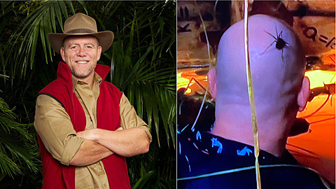 Mike Tindall v reality show I´m A Celebrity náramn baví.