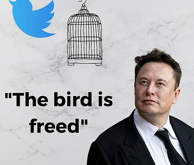 Elon Musk vrací ptákovi svobodu.