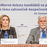 Danuše Nerudová, Petr Pavel