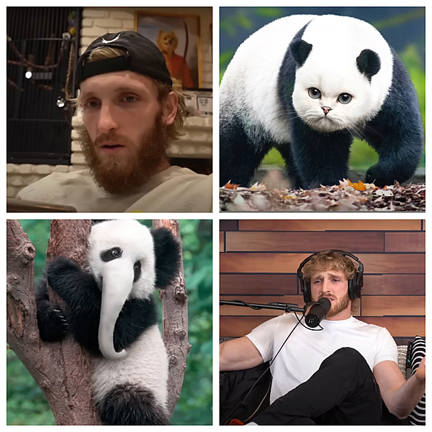 Logan Paul a CryptoZoo