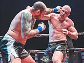 Box bez rukavic