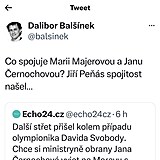 Dalibor Balnek se v komenti na Twitteru otel o Janu ernochovou a ta si to...