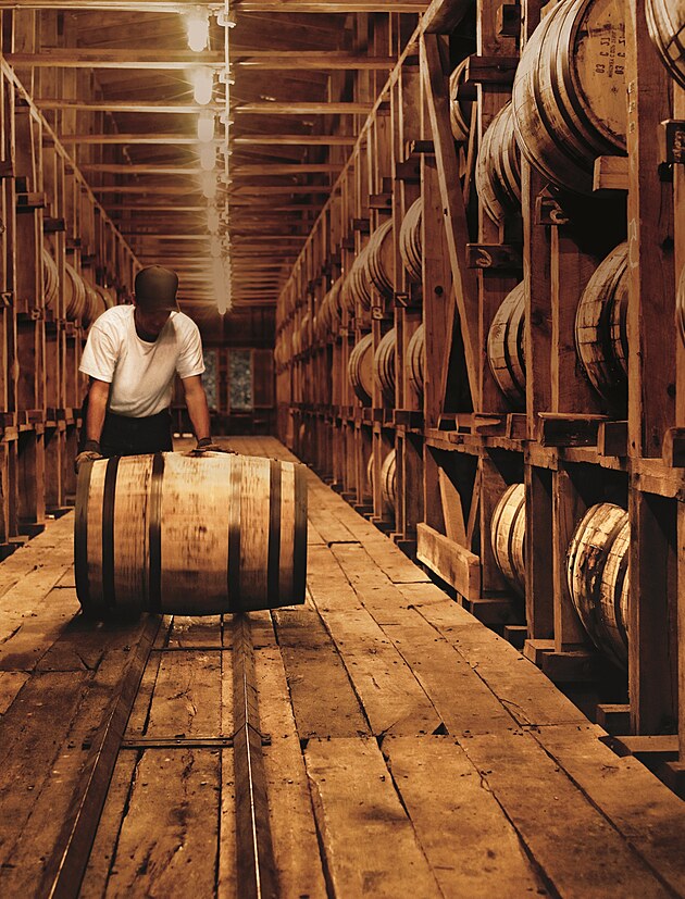 BraunForman přebírá distribuci na Slovensku JenProMuze