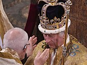 Po usazení koruny na hlavu Karla zvolal Bh ochrauj krále! doprovázené...