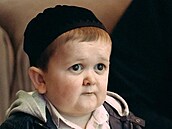 Hasbulla byl zadr�en policií