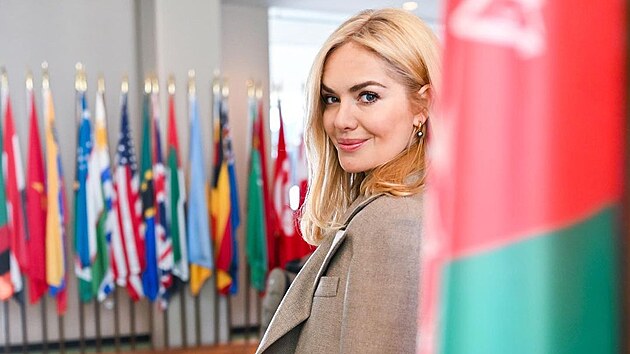 Taána Kuchaová na zasedání Komise OSN pro postavení en.