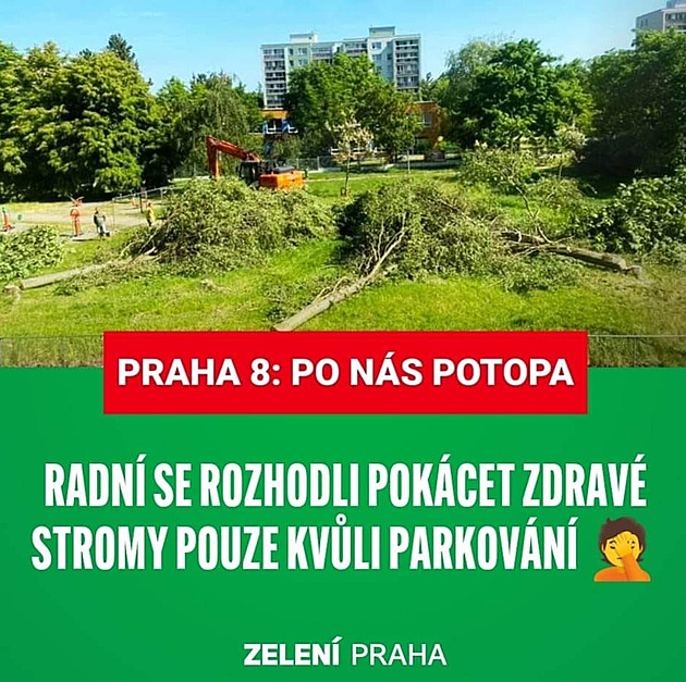 Radní na Praha 8 se rozhodli pokácet est zdravých vzrostlých strom na...