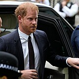 Princ Harry u Nejvyho soudu v Londn