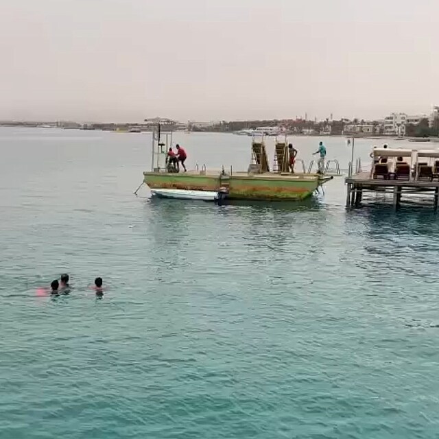 V populrnm letovisku Hurghada ralok roztrhal ruskho turistu, kter tam...