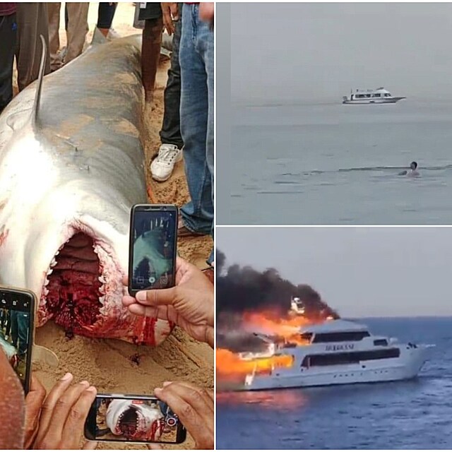 Na Egypt se valí jedna pohroma za druhou. Po útoku žraloka v Hurghadě...