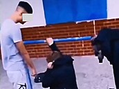 D�sivé záb�ry na aplikaci Telegram.