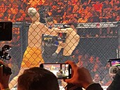 Holomek vs Kub�nka