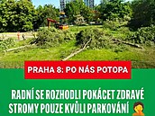 Radní na Praha 8 se rozhodli pokácet est zdravých vzrostlých strom na...