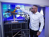 Karlos Vémola má i papou�ka.