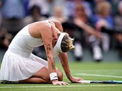 Markéta Vondrouová vyhrála Wimbledon.