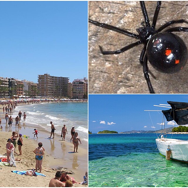 Alicante potrápily bakterie v moři, chorvatský Rab děsí černé vdovy, v Nízkých...