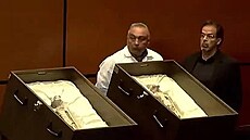 Mexi�an� uk�zali �dajn� t�la mimozem��an�