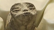 Mexi�an� uk�zali �dajn� t�la mimozem��an�