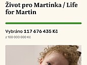 Pro Martínka se vybralo u pes 117 milion.