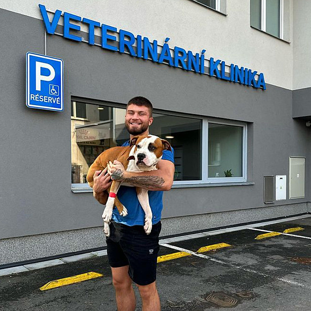 Datlv pes byl pevezený k veterinái