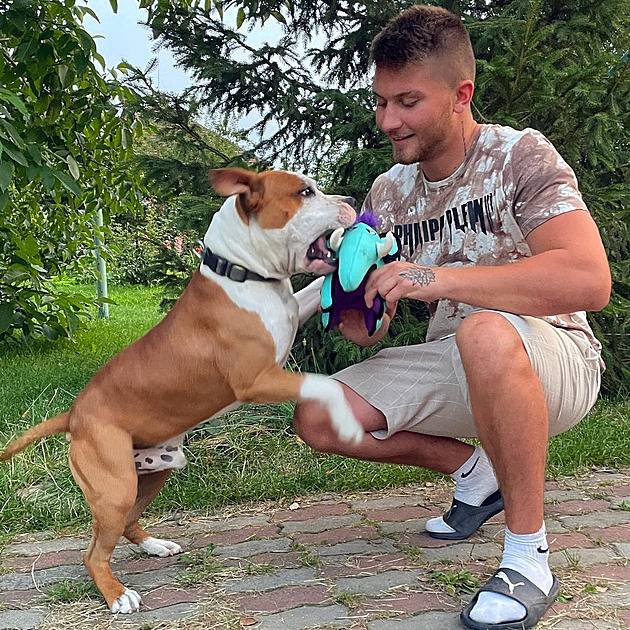 Datlův právník sepsal odvolání. Nepoctivý záměr neměl, teď se prý bojí chodit ven