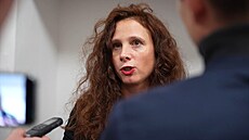 Zmocn�nkyn� po�kozených dívek Adéla Ho�ej�í.