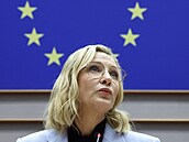 Australská hereka Cate Blanchett na pd Evropského parlamentu pedvedla...