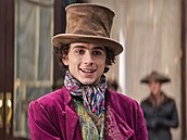 Timothée Chalamet jako Willy Wonka.