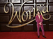 Role Willyho Wonky se zhostil Timothée Chalamet.