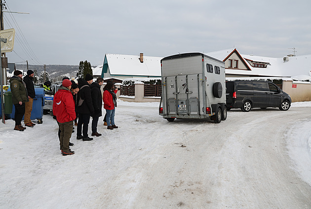 Odvlekli nám člena rodiny, naříká Vémola. Tygřice Ramba skončila v Německu