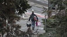 Jaromír Nosek nese do porodnice kolíbku pro miminko