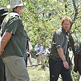 Princ Harry m k Africe blzko od mladch let. Organizaci African Parks dl...