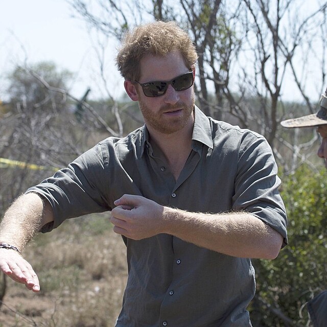 Princ Harry m� k Africe bl�zko od mlad�ch let. Organizaci African Parks d�l� prezidenta �est let, loni byl pov��en do spr�vn� rady.