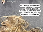Vytrhané vlasy Michaely Klementové (Joná�ové). (11. 2. 2024)