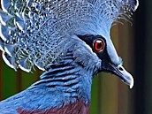 Um�lá inteligence OpenAI Sora