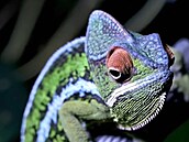 Um�lá inteligence OpenAI Sora