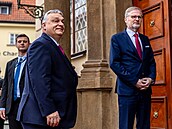 Viktor Orbán, Petr Fiala